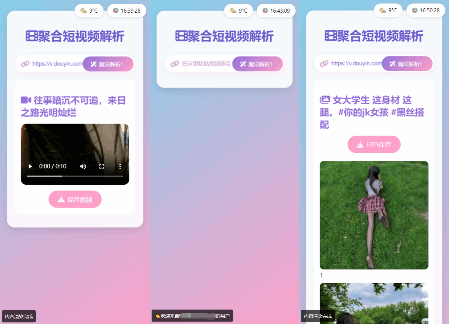 全新二次元聚合短视频解析去水印系统源码 自适应双端-送财鼠