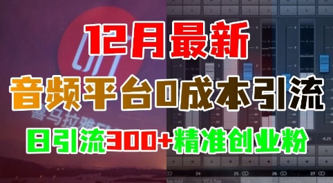 12月最新：音频平台0成本引流，日引流300+精准创业粉-送财鼠