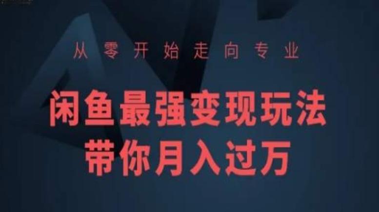 从零开始走向专业，闲鱼最强变现玩法带你月入过万-送财鼠