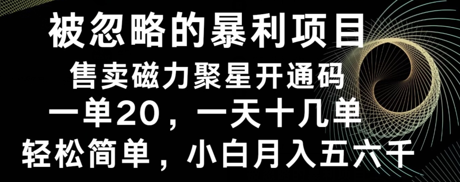 被忽略的暴利项目！售卖磁力聚星开通码，一单20，一天十几单，轻松月入五六千-送财鼠