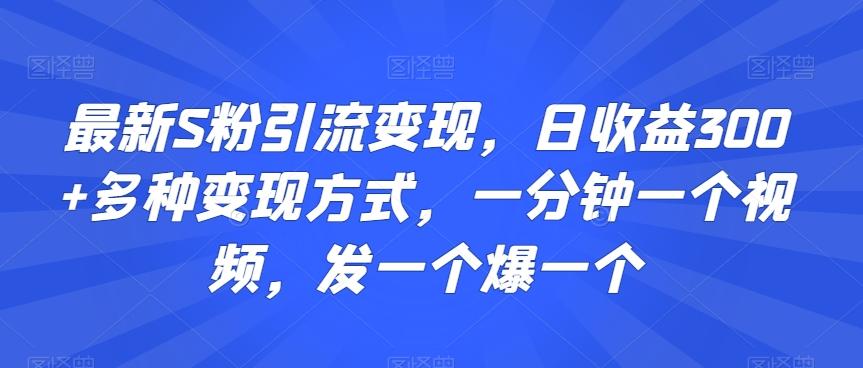 最新S粉引流变现，日收益300+多种变现方式，一分钟一个视频，发一个爆一个【揭秘】-送财鼠