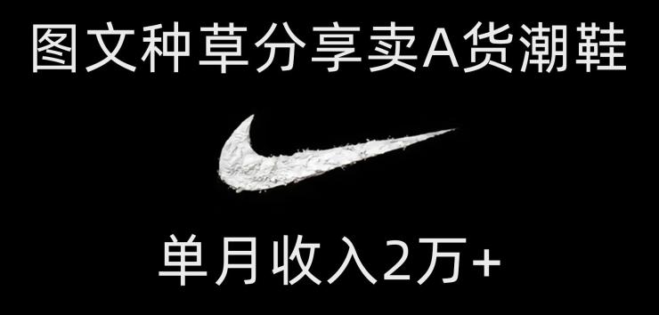 靠图文种草分享卖A货潮鞋，每天一小时，单月收入2万+【揭秘】-送财鼠