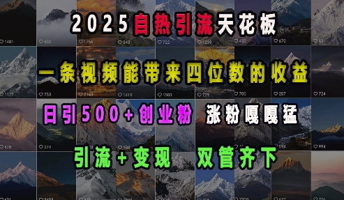 2025自热引流天花板，一条视频能带来四位数的收益，引流+变现双管齐下，日引500+创业粉，涨粉嘎嘎猛-送财鼠