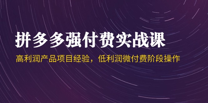 拼多多强付费实战课-44期，高利润产品项目经验，低利润微付费阶段操作-送财鼠