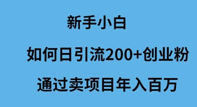 (9668期)新手小白如何日引流200+创业粉通过卖项目年入百万-送财鼠