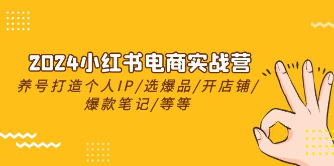 2024小红书电商实战营，养号打造IP/选爆品/开店铺/爆款笔记/等等(24节)-送财鼠