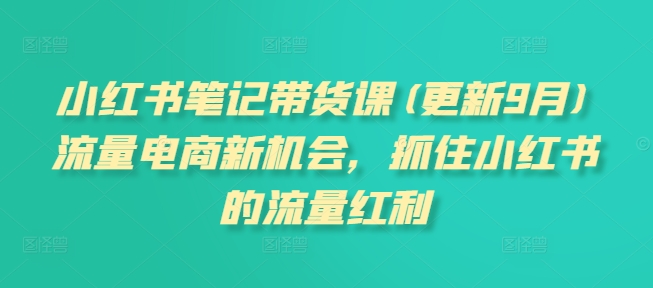 小红书笔记带货课(更新25年1月)流量电商新机会，抓住小红书的流量红利-送财鼠