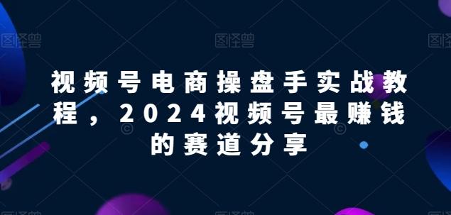 视频号电商实战教程，2024视频号最赚钱的赛道分享-送财鼠