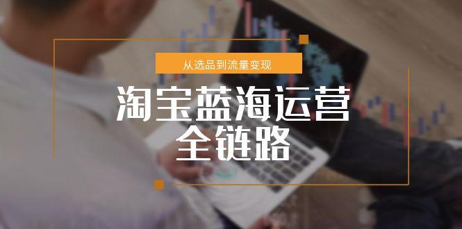 淘宝蓝海运营全链路，从选品到流量变现，小类目突围完整方案-送财鼠