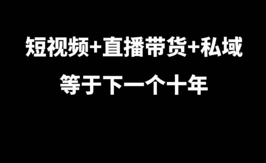 短视频+直播带货+私域等于下一个十年，大佬7年实战经验总结-送财鼠