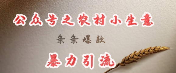 deepseek写农村小项目，条条爆款，暴力引流-送财鼠