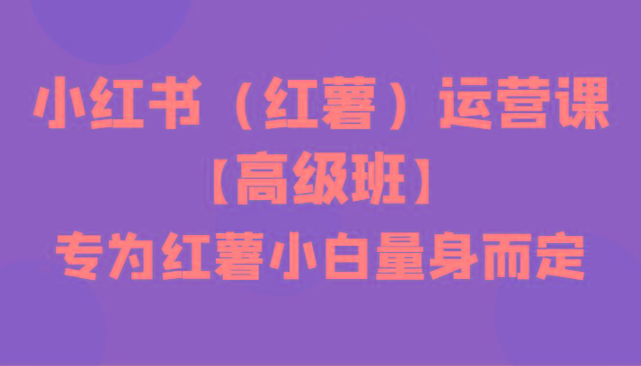 小红书(红薯)运营课【高级班】，专为红薯小白量身而定(42节课)-送财鼠