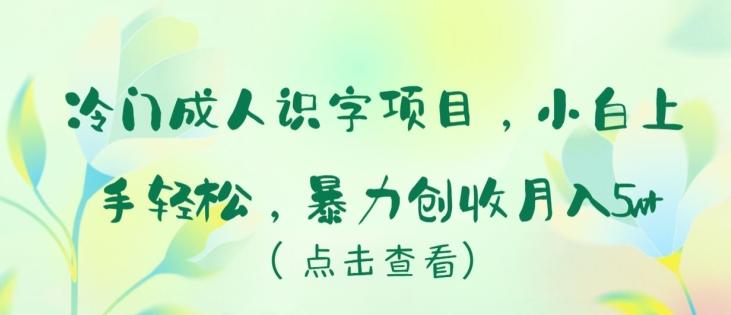 冷门成人识字项目，小白上手轻松，暴力创收月入5w+【揭秘】-送财鼠