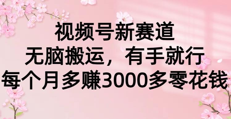 (9278期)视频号新赛道，无脑搬运，有手就行，每个月多赚3000多零花钱-送财鼠
