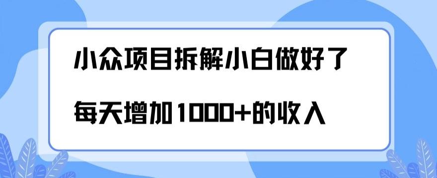 小众项目拆解，小白做好了每天可增加1000多的收入-送财鼠