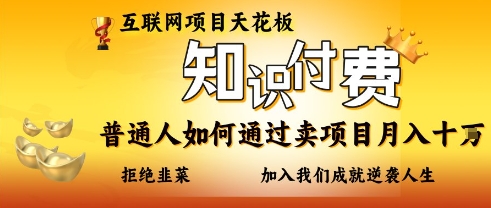 互联网项目天花板，知付付费项目，普通人如何通过卖项目月入十个，拒绝韭菜【揭秘】-送财鼠