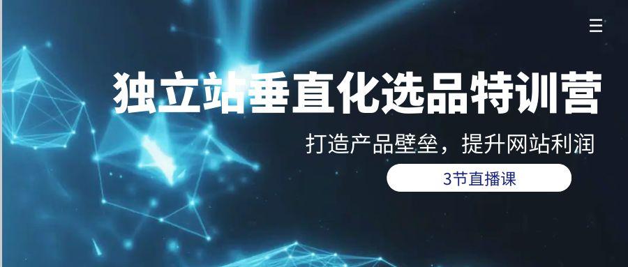 (9925期)独立站-垂直化选品训练营，打造产品壁垒，提升网站利润(3节直播课)-送财鼠