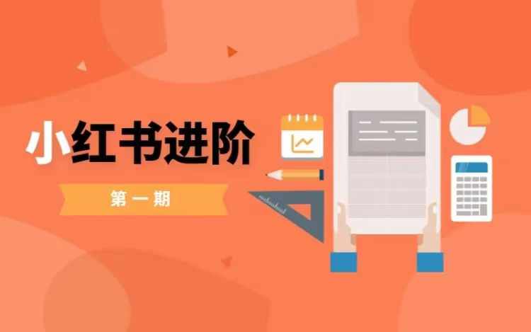 小红书进阶篇，零基础小白实战课，普通人变现的课程-送财鼠