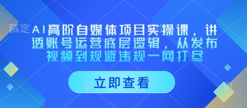 AI高阶自媒体项目实操课，讲透账号运营底层逻辑，从发布视频到规避违规一网打尽-送财鼠