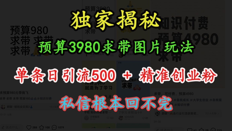 预算3980求带 图片玩法，单条日引流500+精准创业粉，私信根本回不完-送财鼠