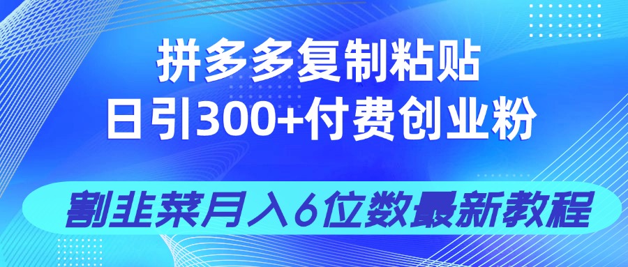拼多多复制粘贴日引300+付费创业粉，割韭菜月入6位数最新教程！-送财鼠