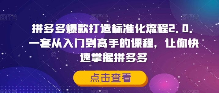 拼多多爆款打造标准化流程2.0，一套从入门到高手的课程，让你快速掌握拼多多-送财鼠