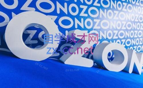森哥·出海俄罗斯电商实操(2024)-送财鼠