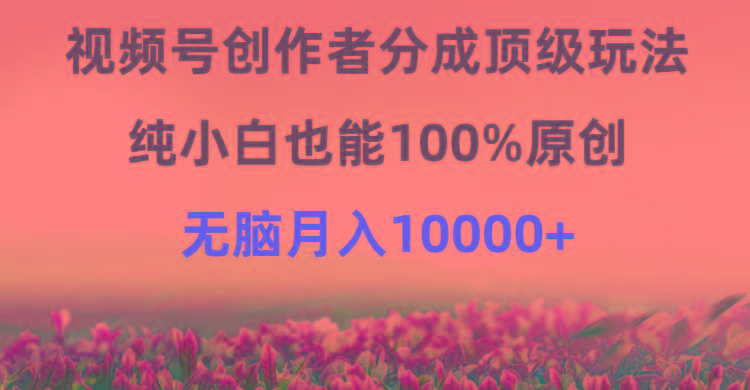 (9608期)视频号创作者分成顶级玩法，纯小白也能100%原创，无脑月入10000+-送财鼠