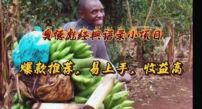 奥德彪经典语录小项目，爆款推荐，易上手，收益高-送财鼠
