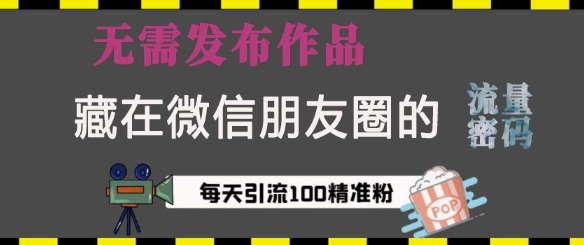 藏在微信朋友圈的流量密码，无需发布作品，单日引流100+精准创业粉【揭秘】-送财鼠