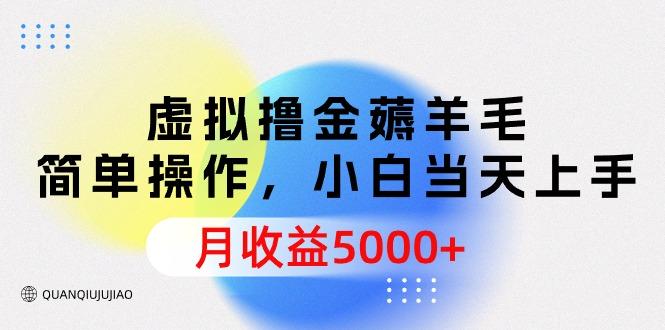 (9864期)虚拟撸金薅羊毛，简单操作，小白当天上手，月收益5000+-送财鼠