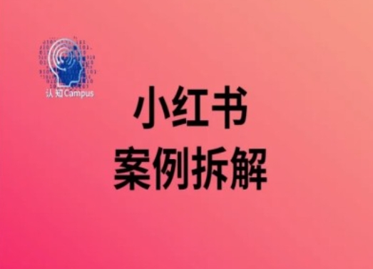 小红书案例拆解，深度解读小红书40万粉-送财鼠