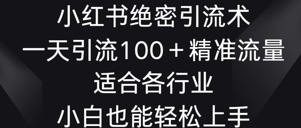 小红书绝密引流术,一天引流100+精准流量,适合各个行业,小白也能轻松上手【揭秘】
