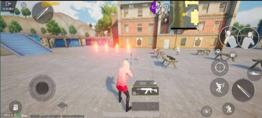 PUBG超广角(支持4服)-送财鼠