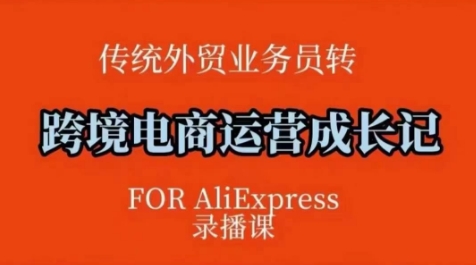 跨境电商速卖通运营课，​运营方法论+后台实操，逻辑清晰-送财鼠