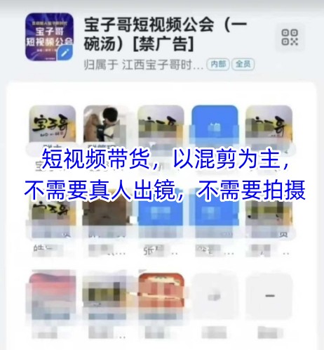 宝子哥头部团队短视频带货，以混剪为主，不需要真人出镜，不需要拍摄-送财鼠