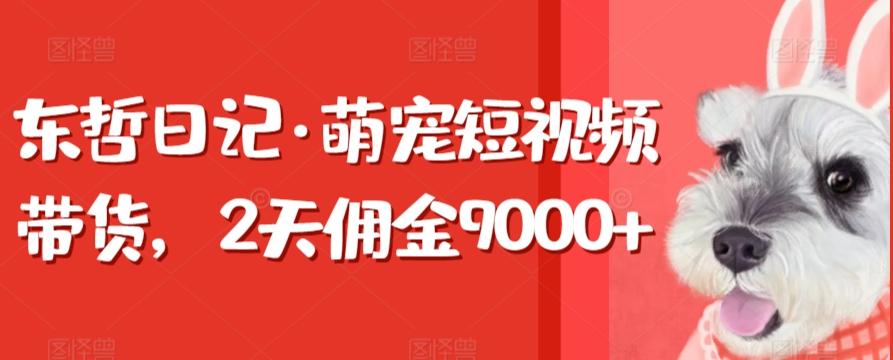 东哲日记·萌宠短视频带货，2天佣金9000+-送财鼠