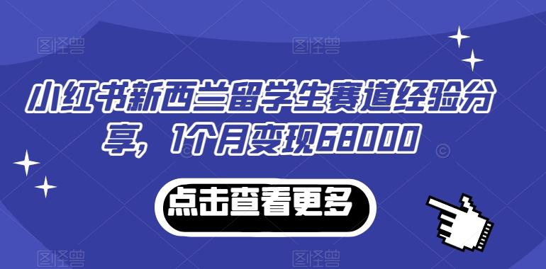 小红书新西兰留学生赛道经验分享，1个月变现68000【揭秘】-送财鼠
