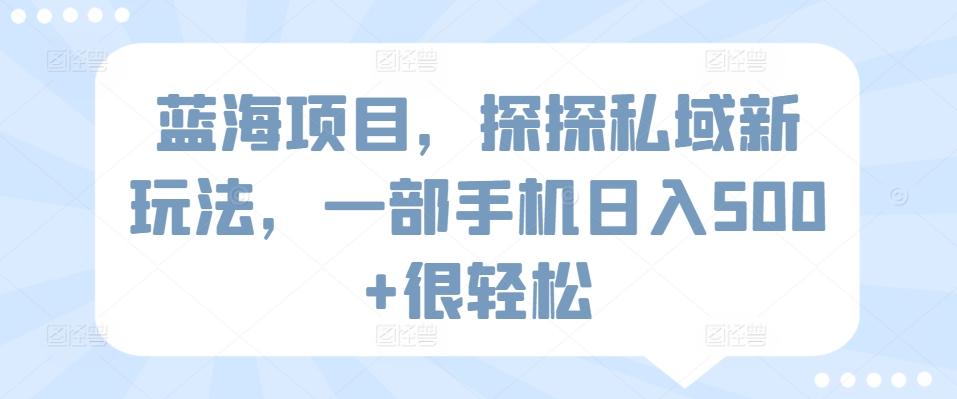 蓝海项目,探探私域新玩法,一部手机日入500+很轻松【揭秘】