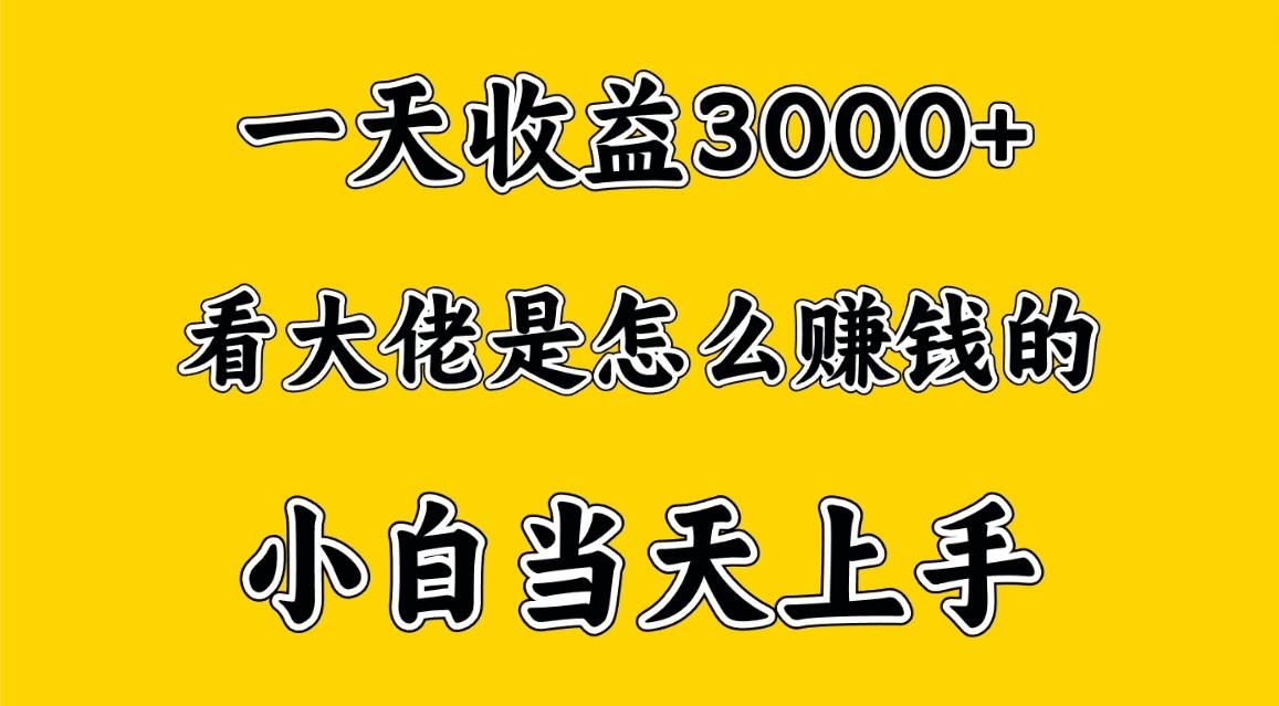 一天赚3000多，大佬是这样赚到钱的，小白当天上手，穷人翻身项目-送财鼠