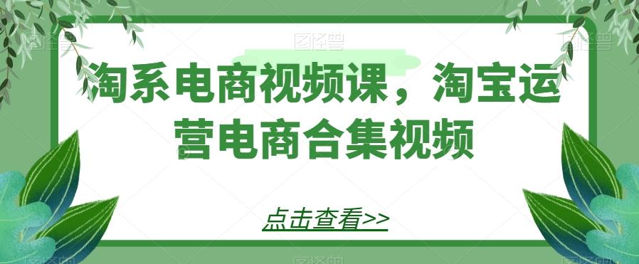 淘系电商视频课，淘宝运营电商合集视频-送财鼠