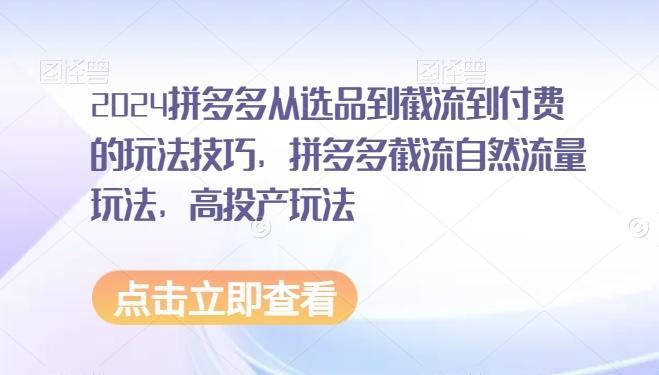 2024拼多多从选品到截流到付费的玩法技巧，拼多多截流自然流量玩法，高投产玩法-送财鼠