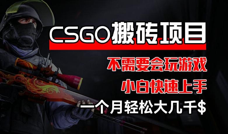 CSGO 装备搬砖项目，操作简单，不需要会玩游戏，小白也能快速上手，一个月轻松大几千【揭秘】-送财鼠