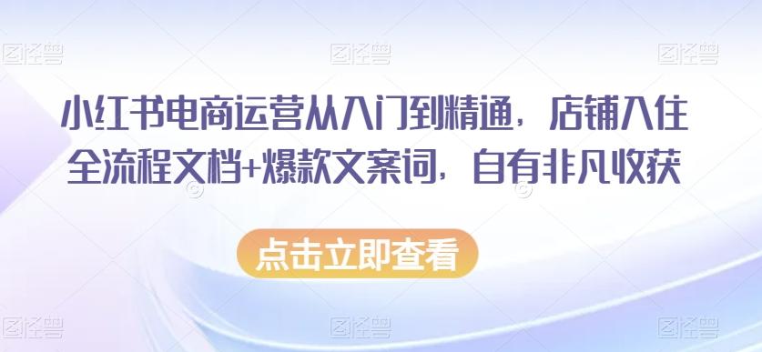 小红书电商运营从入门到精通，店铺入住全流程文档+爆款文案词，自有非凡收获-送财鼠