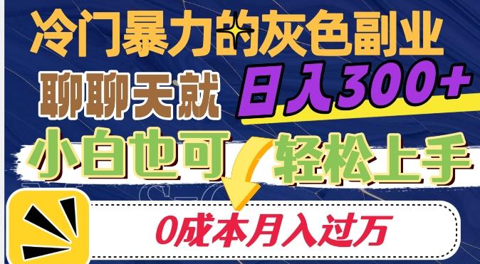 冷门暴利的副业项目，聊聊天就能日入300+，0成本月入过万【揭秘】-送财鼠