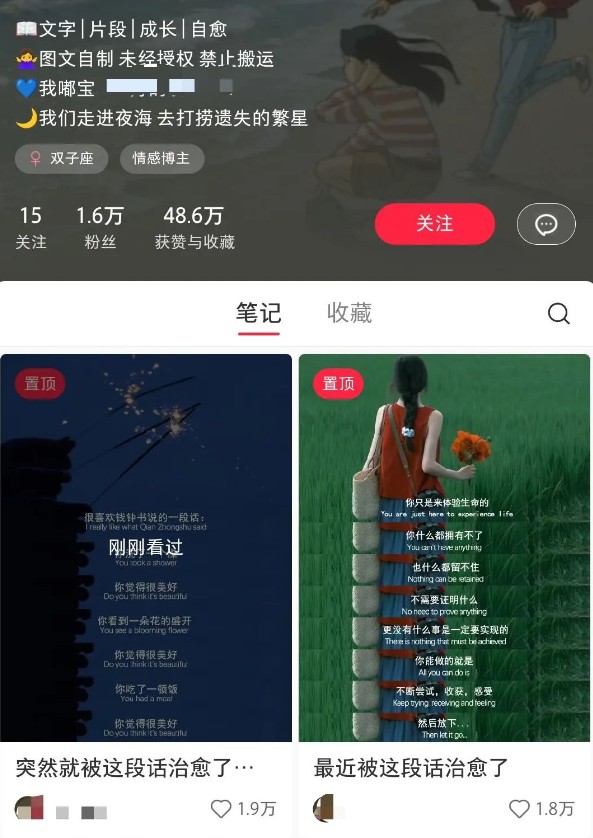 小红书治愈文案图文笔记,零门槛,一分钟制作轻松制作爆款作品月入万元-送财鼠