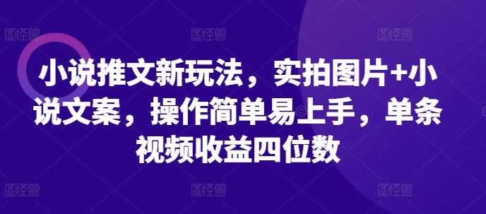 小说推文新玩法，实拍图片+小说文案，操作简单易上手，单条视频收益四位数-送财鼠