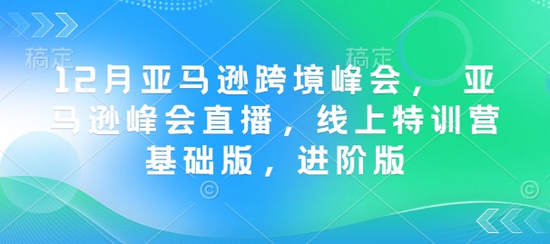12月亚马逊跨境峰会， 亚马逊峰会直播，线上特训营基础版，进阶版-送财鼠