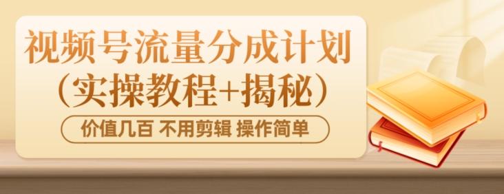 价值几百上千不用剪辑简单操作视频号流量分成计划（实操教程+揭秘）-送财鼠