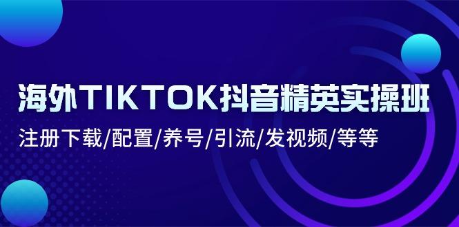 海外TIKTOK抖音精英实操班：注册下载/配置/养号/引流/发视频/等等-送财鼠